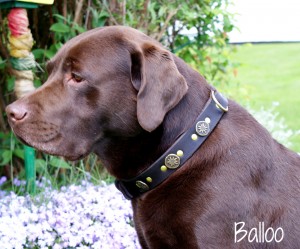 balloo-3