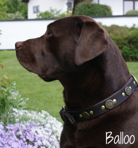 balloo-4