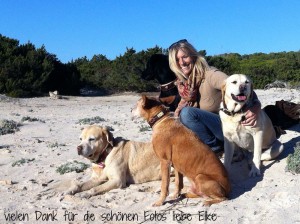 elke-wember-mallorca-1