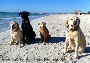 elke-wember-mallorca-2