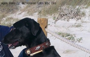 elke-wember-mallorca-3