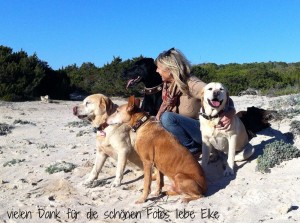 elke-wember-mallorca-4