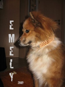 emely-aus-Duelmen2