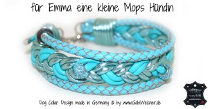 für-Emma-eine-kleine-Mops-Hündin