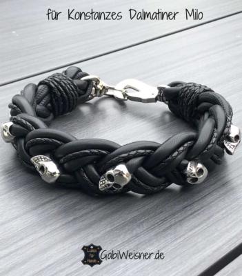 für-Konstanzes-Dalmatiner-Milo