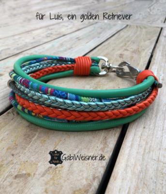 für-Luis,-ein-golden-Retriever