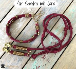 Hundehalsband und Leine im Set 