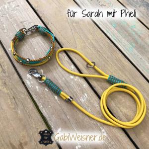 Hundehalsband und Leine im SET in Gelb