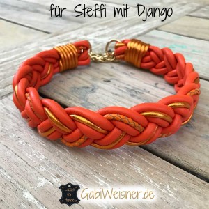 für-Steffi-mit-Django-Orange