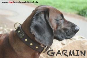 garmin2