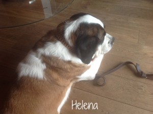 helena-Maike-Rimkus-01