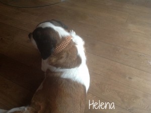 helena-Maike-Rimkus-02
