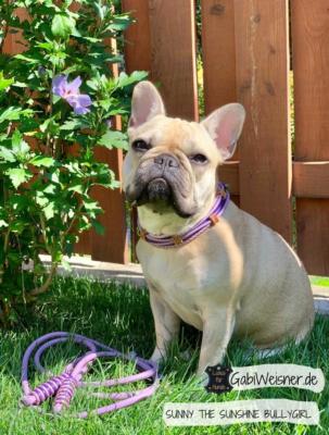 hundehalsband leine SUNNY BULLYGIRL
