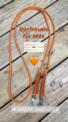 leder orange leine edelstahl
