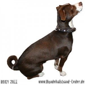 roxy1