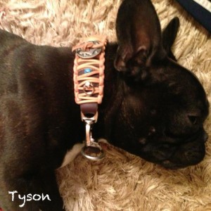 tyson-700